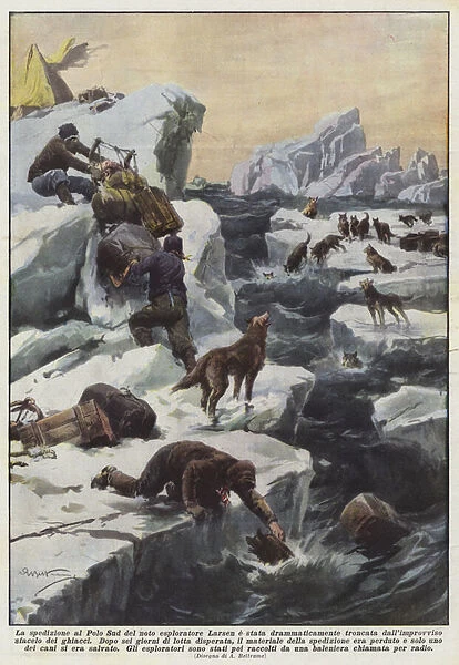 The expedition to the South Pole by the well-known explorer Larsen has been dramatically cut short... (colour litho)