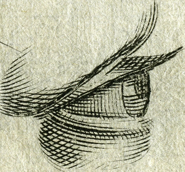 The eye, copperplate engraving, about 1700