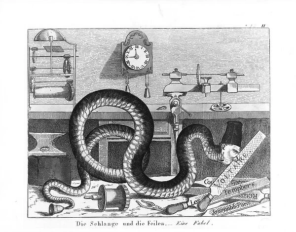 Fable of the Snake and the Files (engraving) (b  /  w photo)