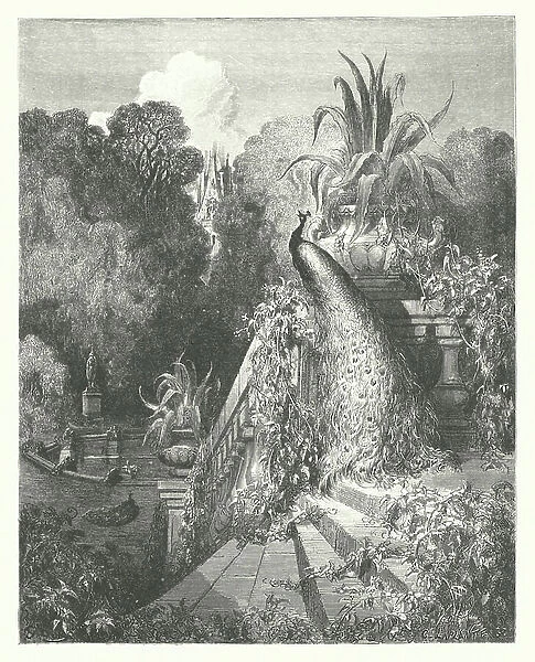 The Fables of La Fontaine: The Peacock Complaining to Juno (engraving)