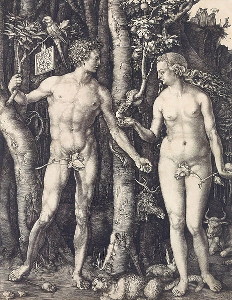 The Fall of Man by Albrecht Durer, 1504 (b  /  w engraving)