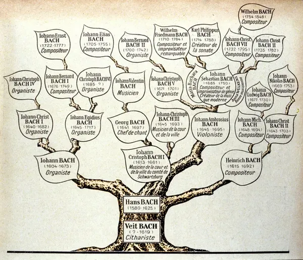 Family tree of the Bach family