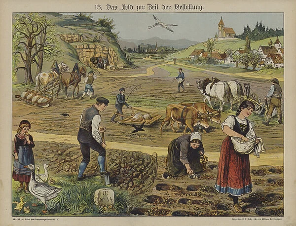 Farming (colour litho)