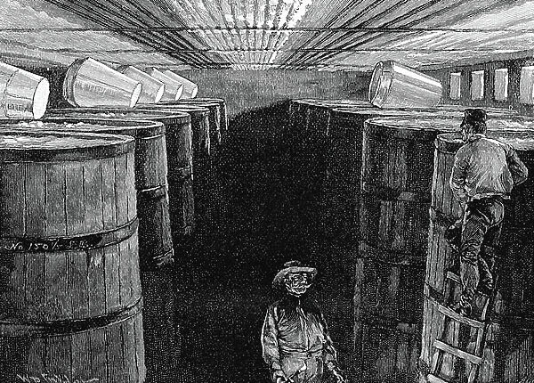Fermenting cellar in American brewery, 1885