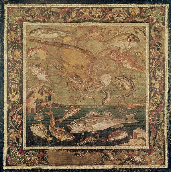 Fish, Molluscs and Crustacea (mosaic)