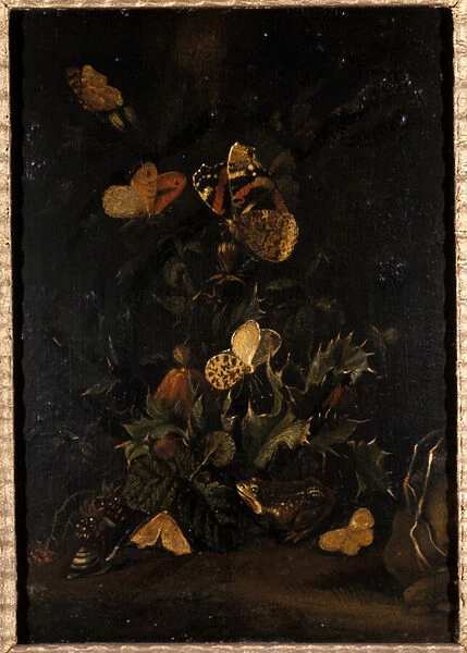 Flowers with butterflies and toad (oil on oak wood)