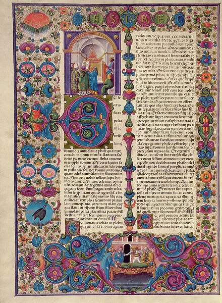 Fol. 205v The Book of Exodus, from the Borso d Este Bible. Vol 1 (vellum)