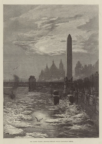 The Frozen Thames, Seagulls circling round Cleopatras Needle (engraving)