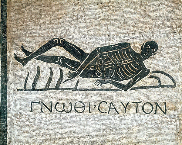 Gnothi seauton (Know thyself memento mori en mosaic from excavations in the convent of