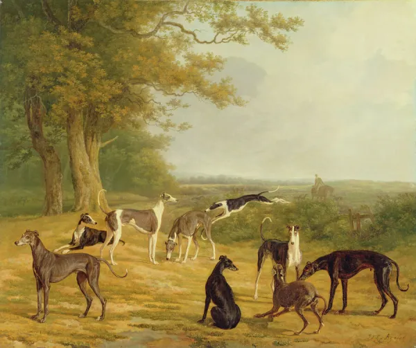 Nine Greyhounds in a Landscape (oil on canvas)