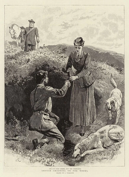 Grouse Shooting on the Moors (engraving)