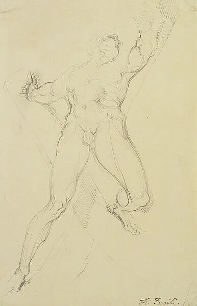 Haman, After Michelangelo, (pen and grey ink)