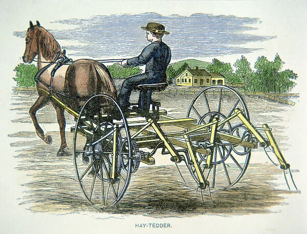 Hay-tedder farming machine, c. 1880 (coloured engraving)