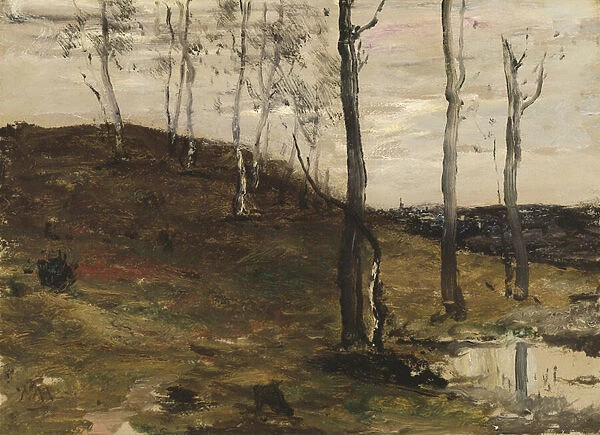 Hillside with Trees, 1872-78 (oil on canvas)