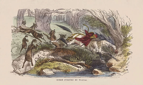 Horse pursued by wolves (coloured engraving)