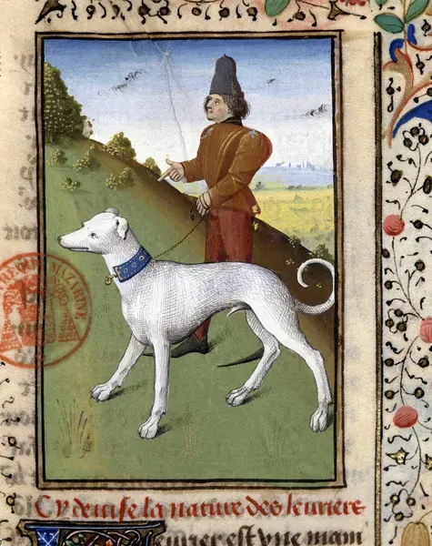 Fine Art Print: 14th Century Greyhound Leash Art Prints