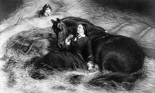Illustration from Girl with Horse, after Rosa Bonheur, 19th Century (engraving)