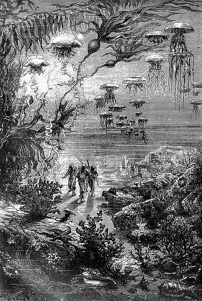 Illustration for Jules Verne's novel 20, 000 Leagues Under the Sea, 1870 (engraving)