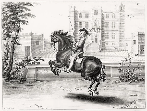 Illustration from a Riding Manual, engraved by Peeter Clouwet (1629-70)