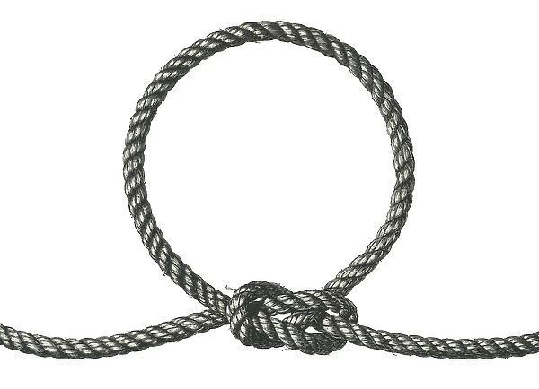 Illustration of a Rope Noose, 1937 (screen print) For sale as