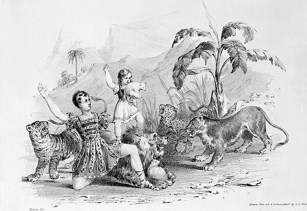 Isaac Van Amburgh taming a lion, 1838-9 (lithograph)