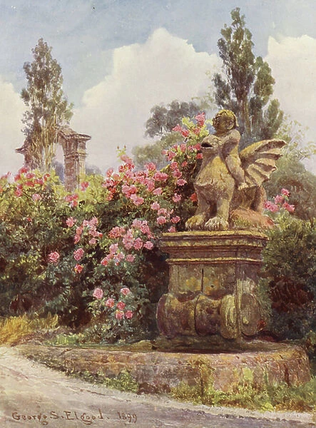 Italian Gardens: China Roses, Villa Imperiali (colour litho)