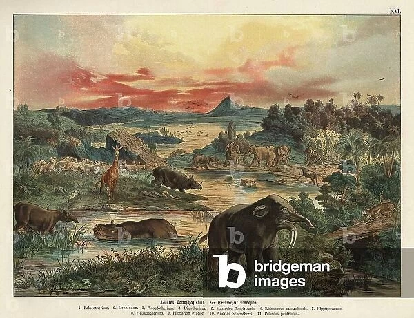 Landscape of Europe in the Tertiary Age, with animal species - Chromolithography of Geology and Paleontology by Friedrich Rolle (1827-1887), extract from Natural History by Gotthilf Heinrich von Schubert (1780-1860)