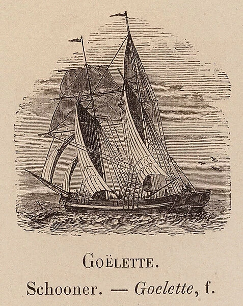 Le Vocabulaire Illustre: Goelette; Schooner; Goelette (engraving)