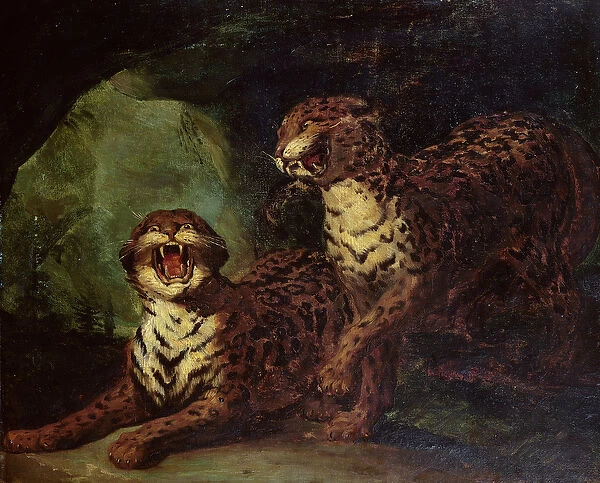 Two Leopards, c. 1820 (oil on canvas)