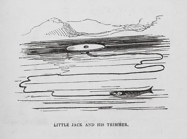 Little Jack and his Trimmer (engraving)