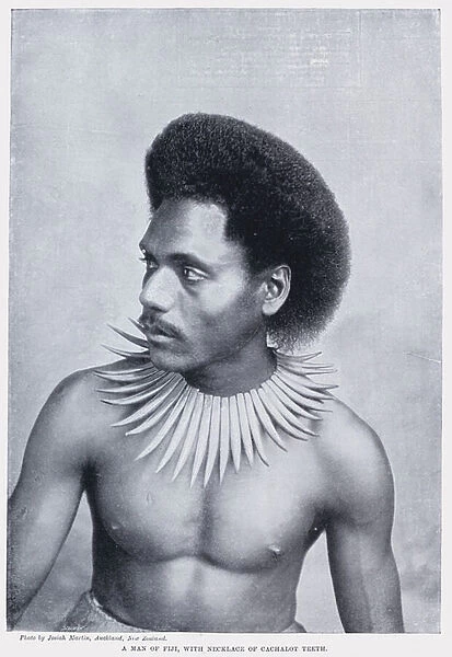 A Man of Fiji, with Necklace of Cachalot Teeth (b  /  w photo)