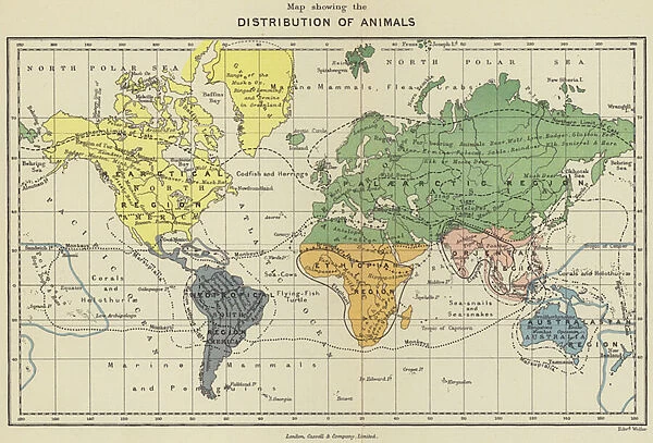 Map showing the distribution of animals (colour litho)
