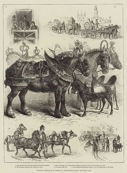 May-Day Procession of Horses at Newcastle-on-Tyne (engraving)