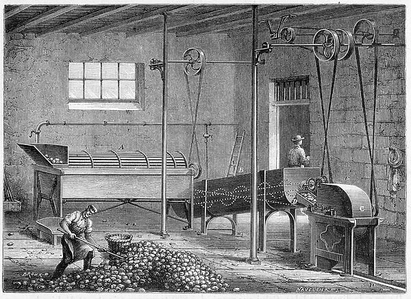Mechanical potato washer, followed by epierror and grater - Figutree, 19th century
