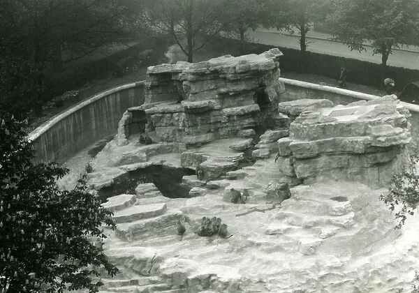 Monkey Hill seen from the top of the Mappin Terraces, London Zoo, 1931 (b / w photo)