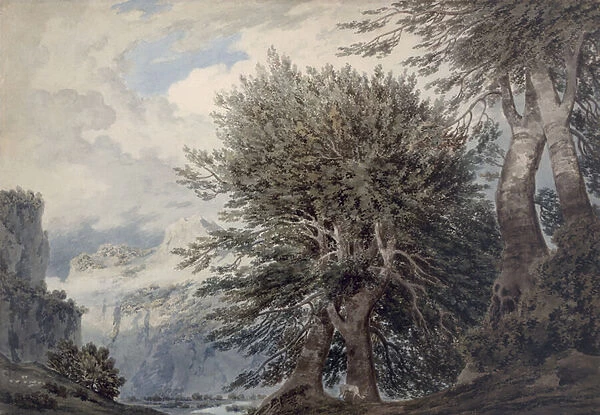 Mountainous Landscape with Beech Trees, 1792 (w  /  c on paper)