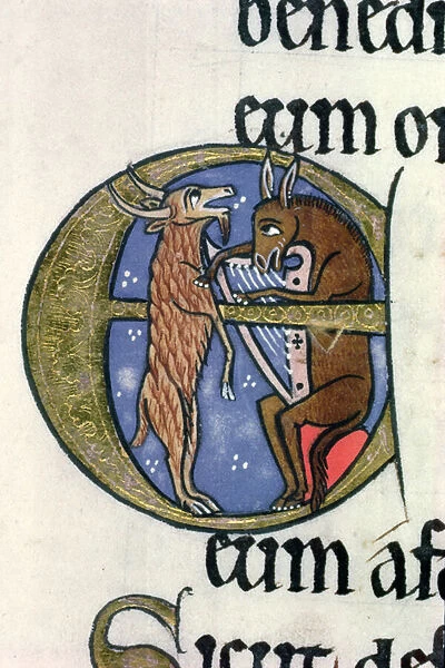 Ms Hunter 229 f. 88r An Ass seated playing a harp, a Goat on his hind legs singing, from the Hunterian Psalter, c. 1170 (pen & ink and tempera on vellum) (detail)
