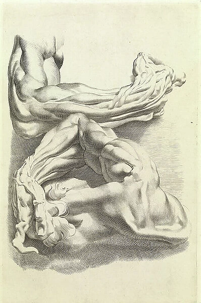 Muscles (engraving). 471461 Muscles (engraving) by Rubens, Peter Paul 