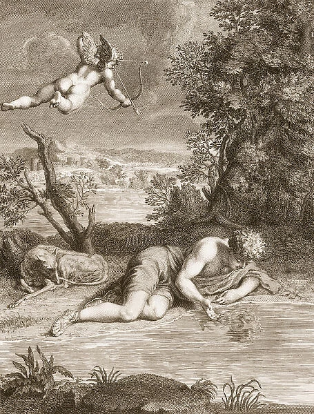 Narcissus Transformed into a Flower, 1730 (engraving)