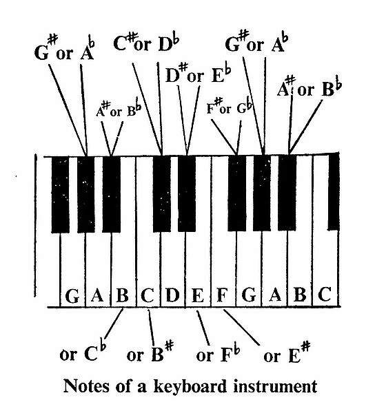 Notes of a keyboard instrument (litho)