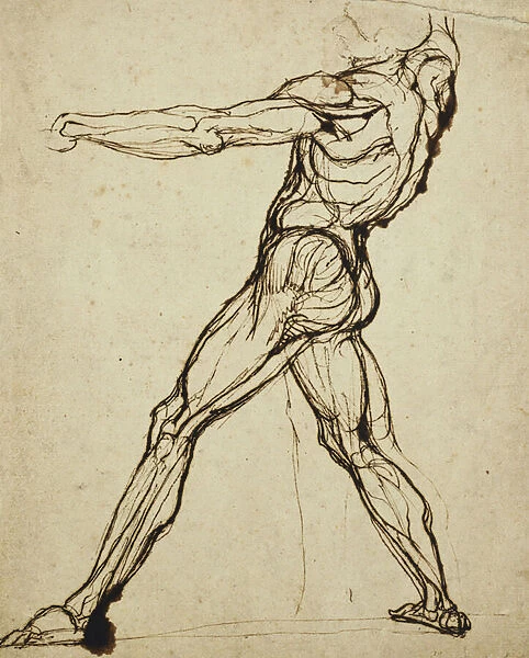A Nude Throwing, (pen and brown ink)