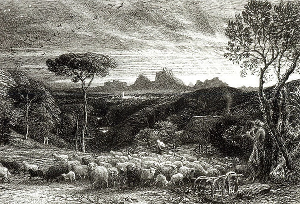 Opening the Fold, Early Morning, 1880 (etching) (b  /  w photo)