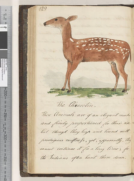 Page 129. The Chevrotin, 1810-17 (w  /  c & manuscript text)
