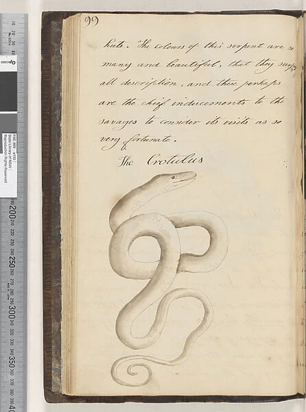 Page 99. The Crotulus, 1810-17 (w  /  c & manuscript text)