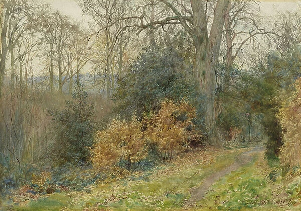 Path Through the Wood, 1902 (w  /  c on paper)