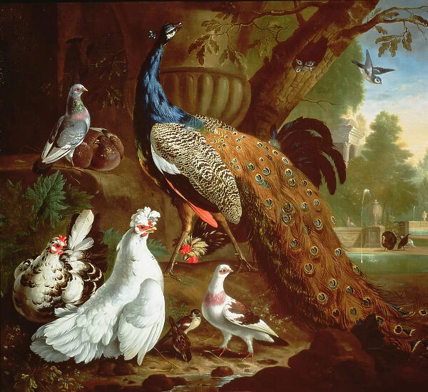 A Peacock in a Classical Landscape, 1719