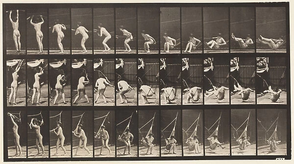Plate 262. Getting out of Hammock, 1872-85 (collotype on paper)