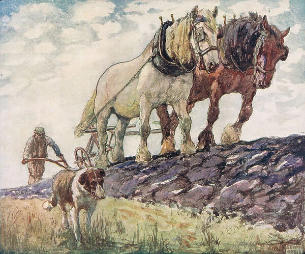 Ploughing the field, illustration from Helpers Without Hands by Gladys Davidson, published in 1919 (colour litho)