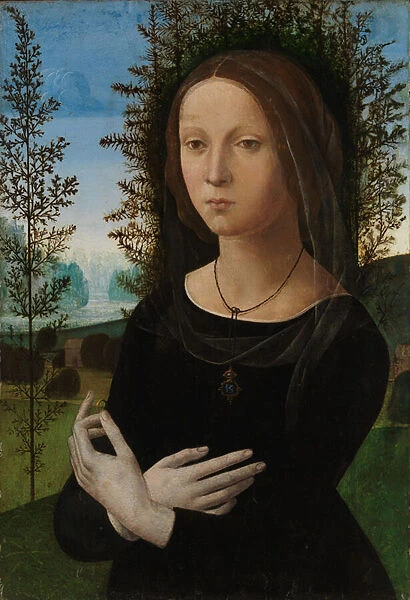 Portrait of a Young Woman, c. 1475-80 (oil on wood)