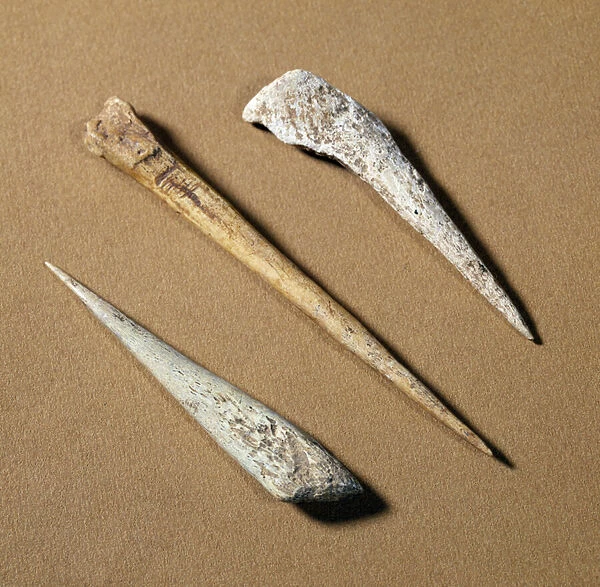 Prehistory: bone perch dating from the Paleolithic. Saint-Germain-en-Laye